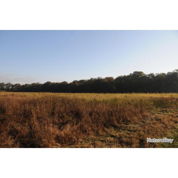 Chasse en Battue au Domaine de la Chaise