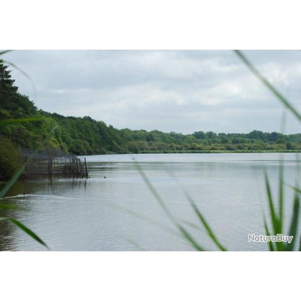 Chasse du Paradis : "Prestige"