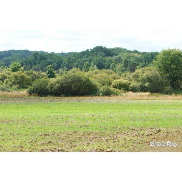 Chasse du Paradis : "Plaisir"