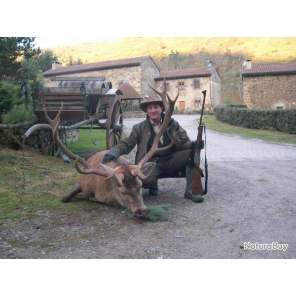 Chasse � l'affut , approche et mirador au Domaine de Raboulet