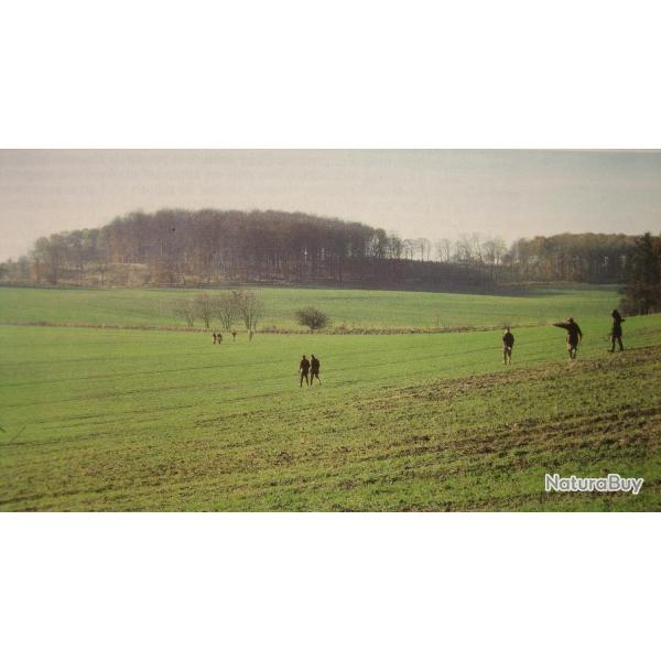 Chasse en Bray : journ�e devant soi individuelle