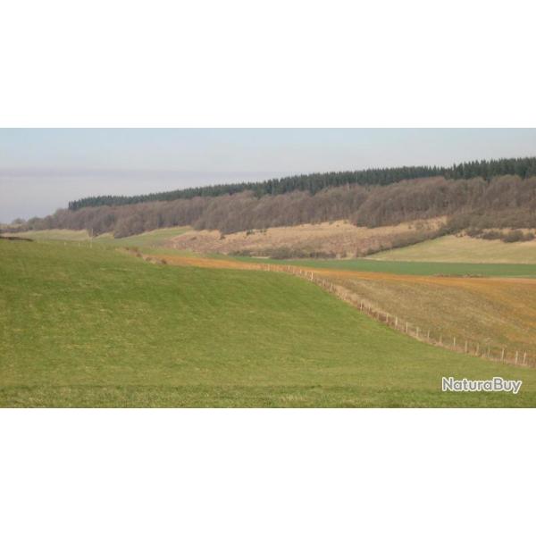 Chasse en Bray : journe devant soi en groupe