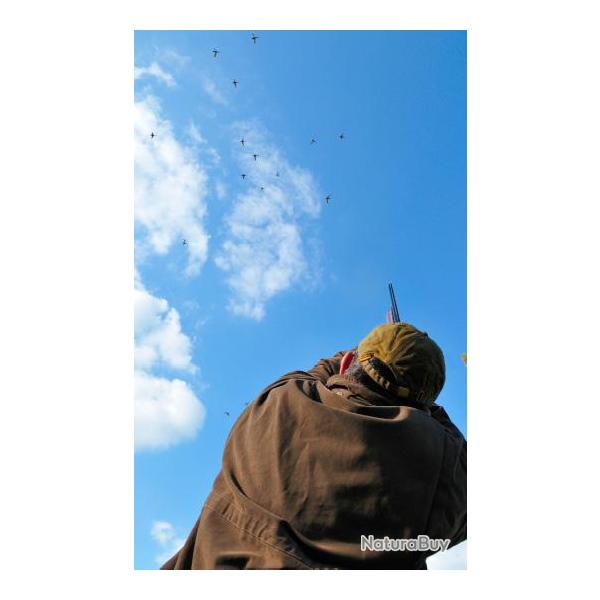 Chasse du petit gibier � la Maisonnette