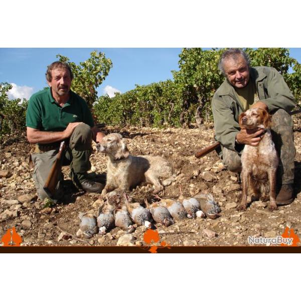 Chasse au Domaine de Reillanne