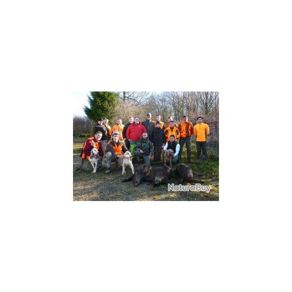 Chasse aux Sangliers au Parc du Gros Ch�ne