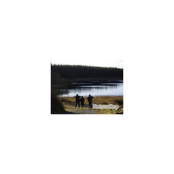 LC Voyages : Chasse de la Bcasse et de la Bcassine en Irlande du Nord