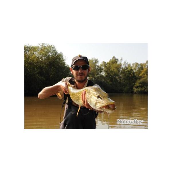 P�che en Sologne : Domaine de Ch�rupeaux - Master Class : "Brochet � la mouche, le grand jeu"