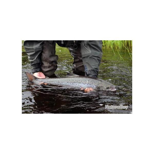 Pche en Russie - Pninsule de Kola - Chawanga