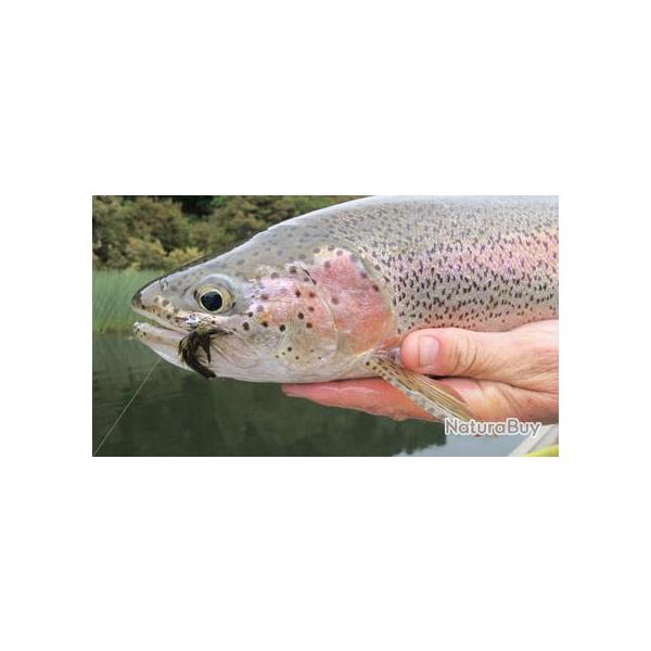 Voyage de P�che au Chili : Truites et saumons de la Cordill�re des Andes