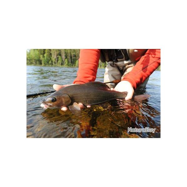 Voyage de Pche Sude : Les ombres de la rivire Gimn