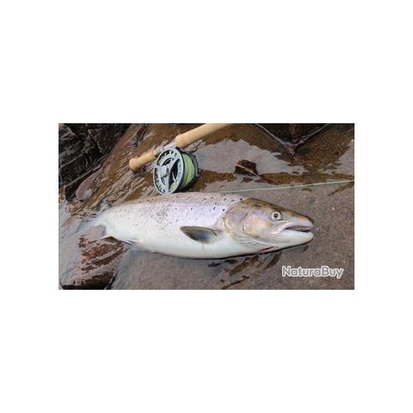 Voyage de P�che en Russie : Les saumons et truites de mer de la rivi�re Strelna