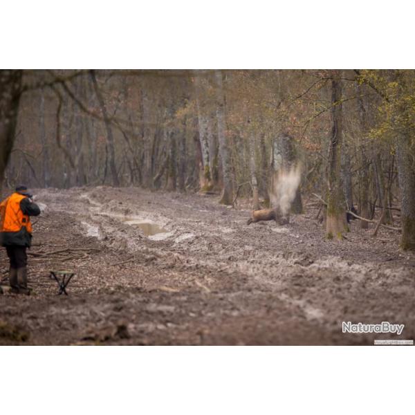 Battues Grands Gibiers