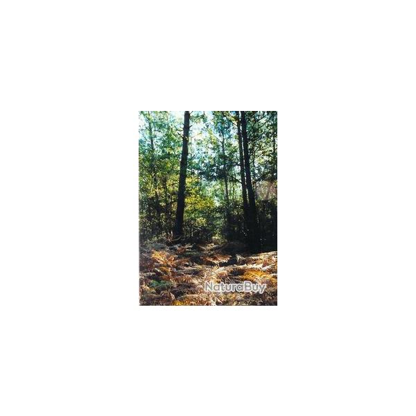 Chasse devant soi  la Sablire