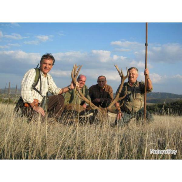 Chasse � l'Approche aux Domaines de Calmels et Luc