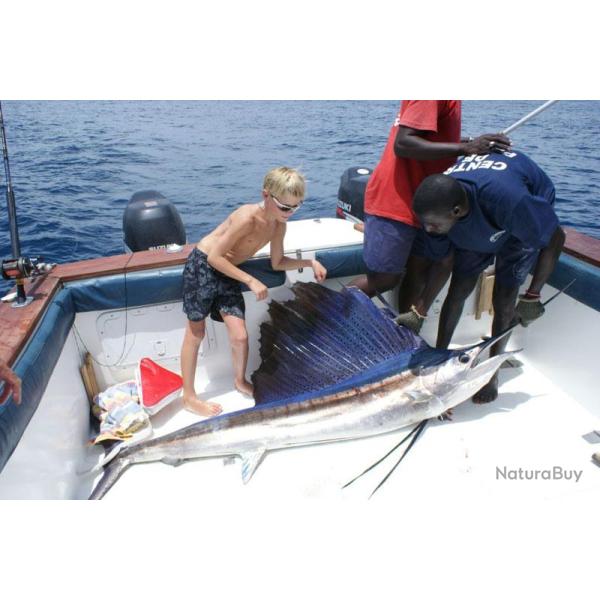 P�che � la journ�e au S�n�gal