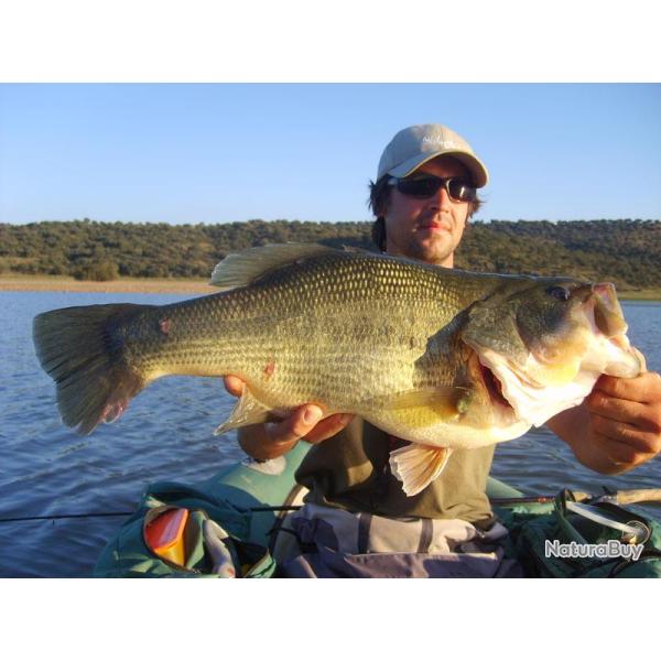 Brochet et Black-Bass en Espagne : sjour aventure petit budget (sans guidage)
