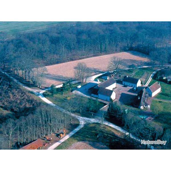 Chasse au Domaine de la Th�au