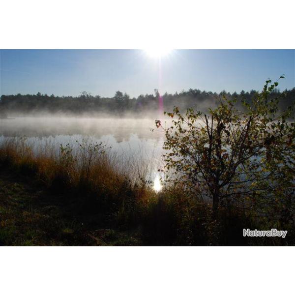 Passe au canard au Domaine du Boulay