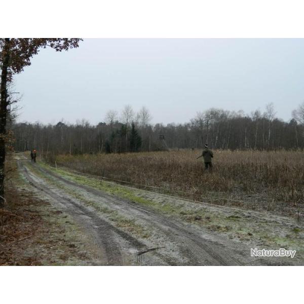 Chasse devant soi au Domaine du Boulay