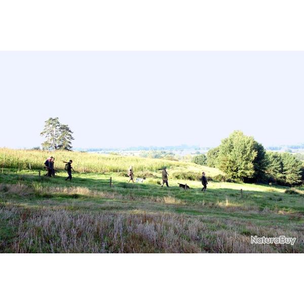 Chasse au Chien d'Arr�t Domaine de la Raboli�re