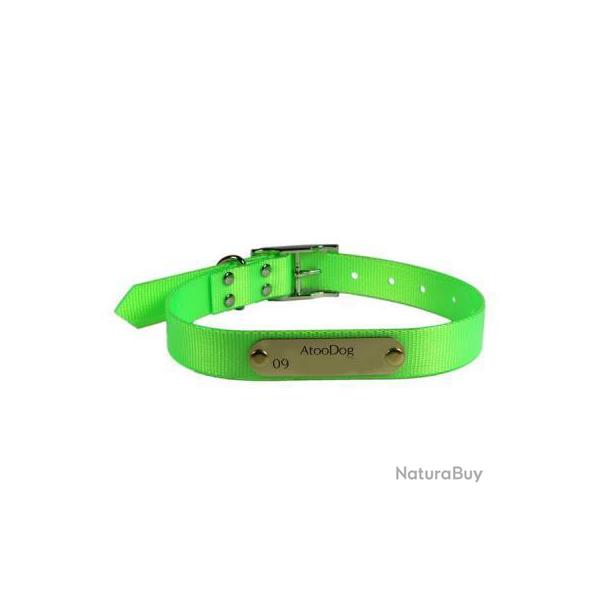 Collier  Fluo grav� VERT pour chien
