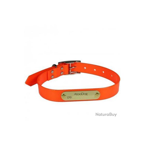 Collier Fluo grav� ORANGE pour chien