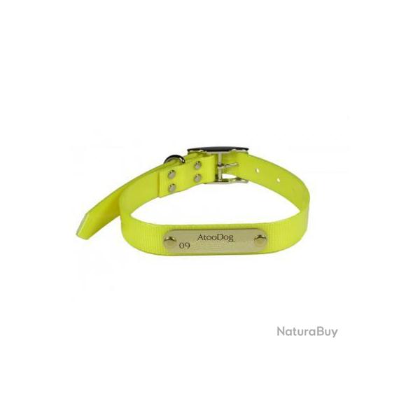 Collier Fluo grav JAUNE pour chien