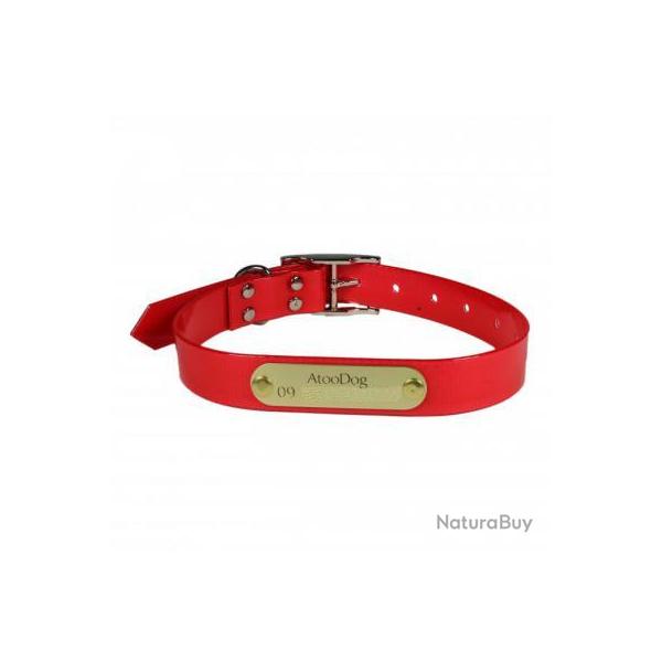 Collier Fluo grav� ROUGE pour chien