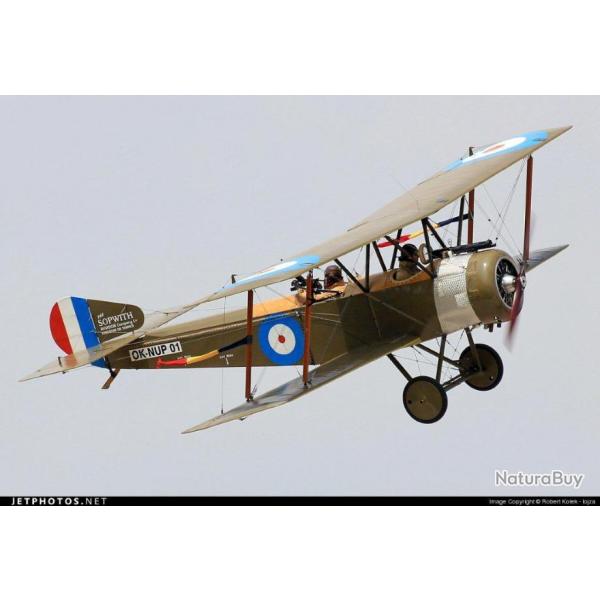HELICE DE CHASSEUR BOMBARDIER WW 1 AVION SOPWITH STRUTTER