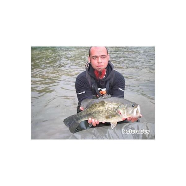 P�che des carnassiers aux 3 Iles