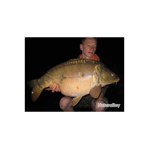 P�che de la carpe aux 3 Iles