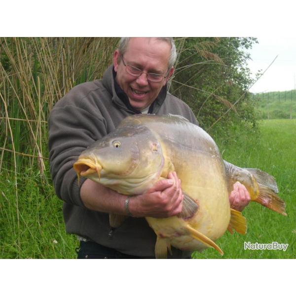P�che de la carpe, du silure et de l'esturgeon chez Iktus Carp Fishing