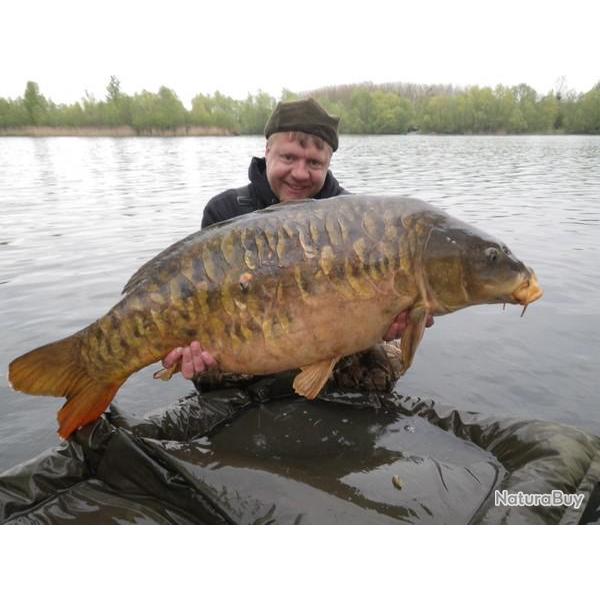 P�che de la carpe et de l'esturgeon au domaine de pimprez