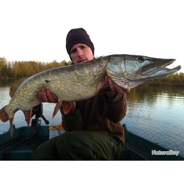 P�che des canarssiers au domaine de pimprez