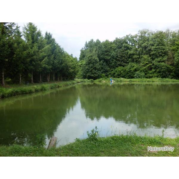 P�che de la truite aux Etangs du Moulin