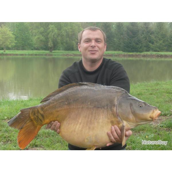 P�che de la carpe aux Etangs du Moulin Rollequin