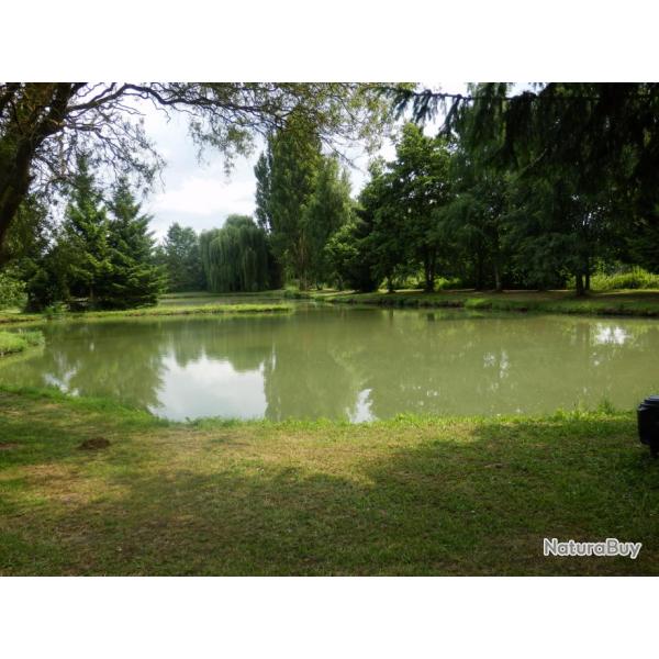 P�che au carpodrome Etangs du Moulin Rollequin