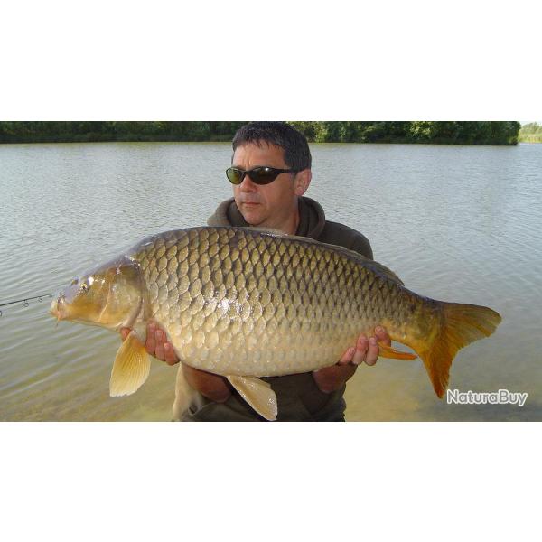 P�che de la Carpe au Domaine de Tournizet