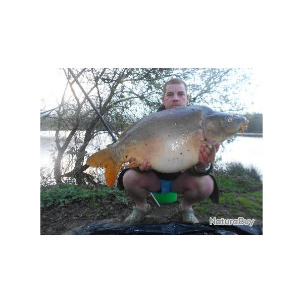 P�che de la carpe au Domaine de Brusson