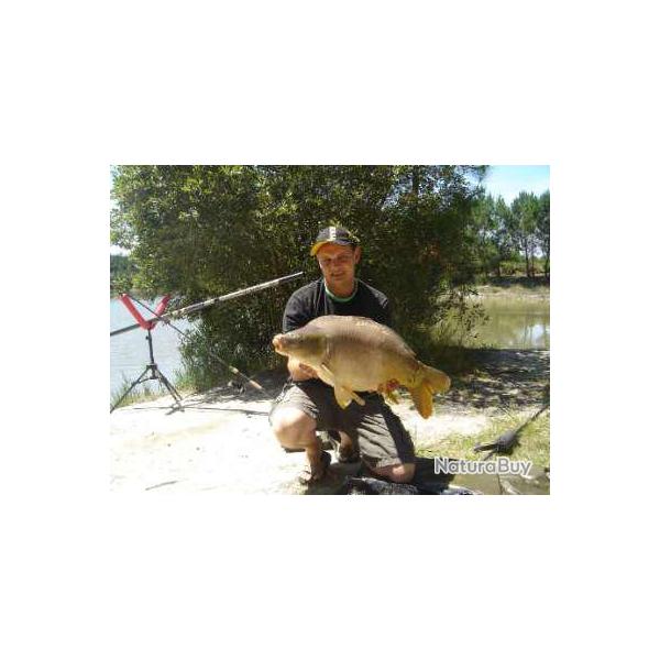 P�che � la journ�e aux Etangs de la Barreyre : carpe, esturgeons, blancs, black bass