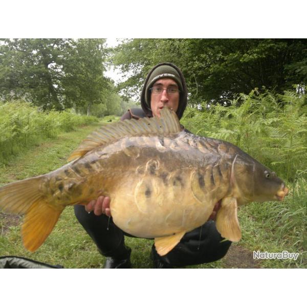 P�che au Domaine de Graves : carpe, esturgeons