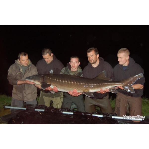 Eden Carpe : Etangs des Abrests, Rtang d'Evrieu, Domaine du Chateau