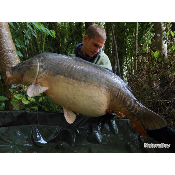 Etangs des Abysses : P�che de la Carpe