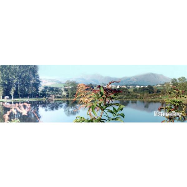 P�che � la journ�e au Domaine du Lac Harrieta