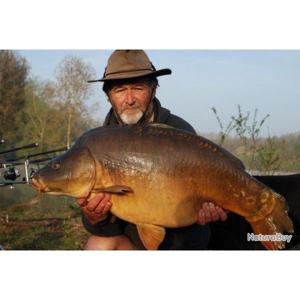 P�che de la Carpe � L'�tang du Grand Marais