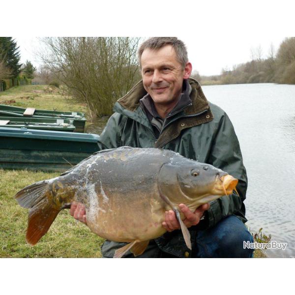 P�che de la Carpe en No-Kill � La Vieille Balasti�re