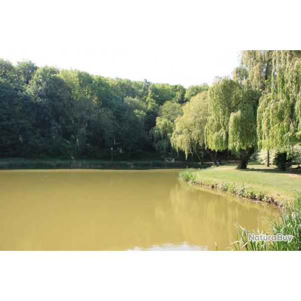 P�che de la carpe aux Etanges de Claires Fontaines