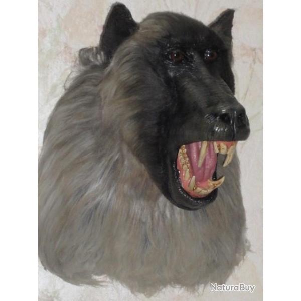 Troph�e taxidermie r�plique faux babouin
