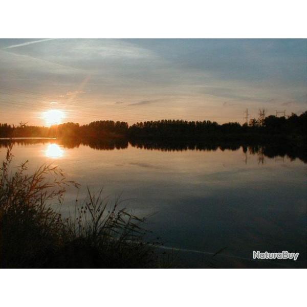 Etangs de l'Abbaye - Abbey Lake : P�che de la Carpe sur l'Etang du Renard et du H�ron