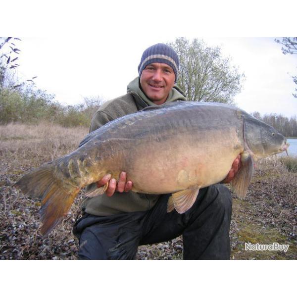 Etangs de l'Abbaye - Abbey Lake : P�che de la Carpe et du silure sur l'Etang du Martin P�cheur